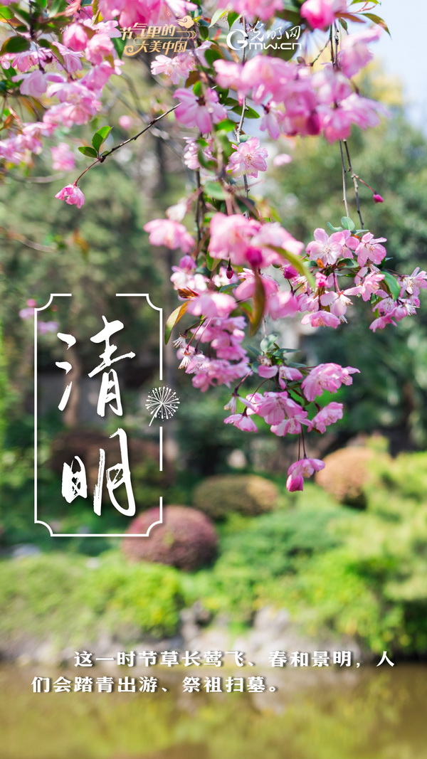 【节气里的大美中国】节气PLOG丨“这盛世如你所愿”